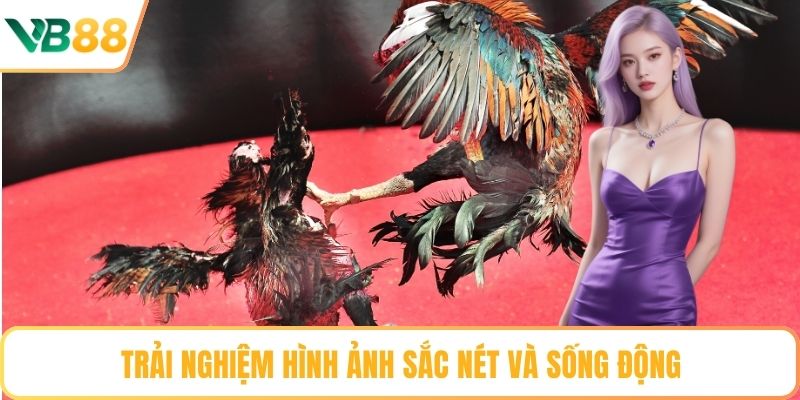 Trải nghiệm hình ảnh sắc nét và sống động